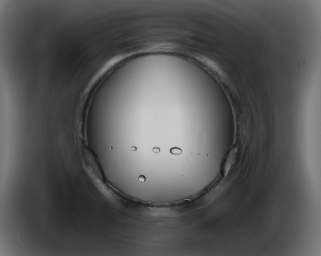 X0000086341422200704131733