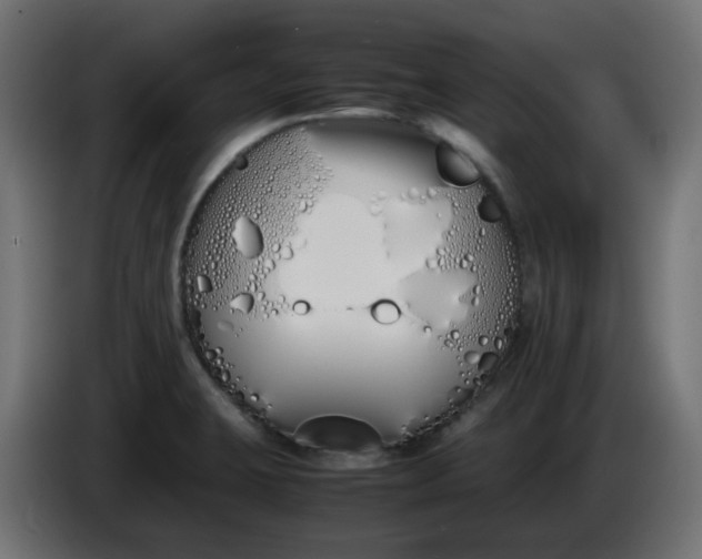X0000086341423200704131733