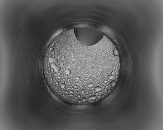 X0000086341425200704131733