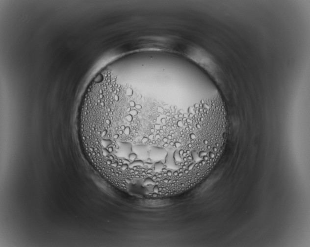 X0000086341427200704131733