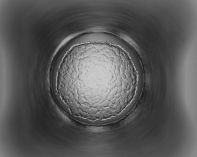 X0000086341428200704131733