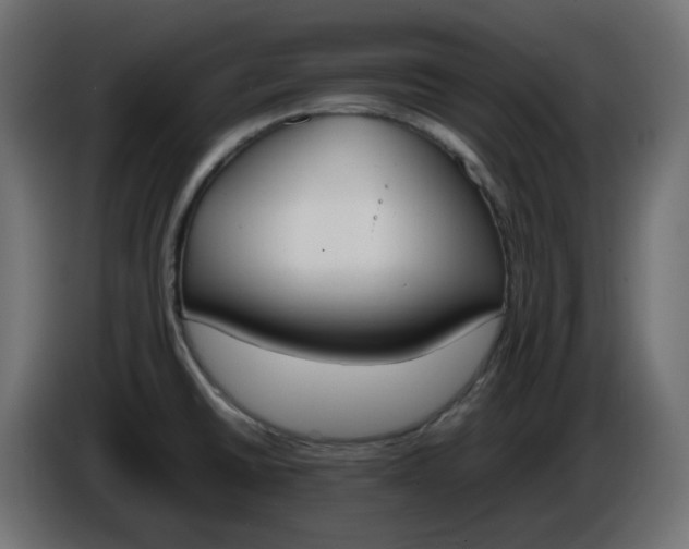 X0000086341430200704131733