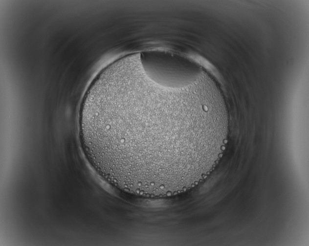 X0000086341431200704131733