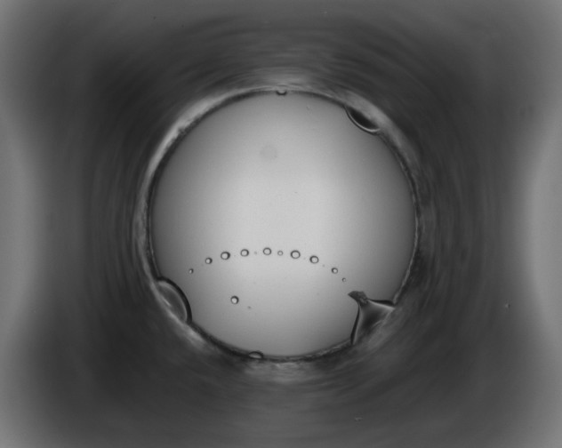 X0000086341432200704131733