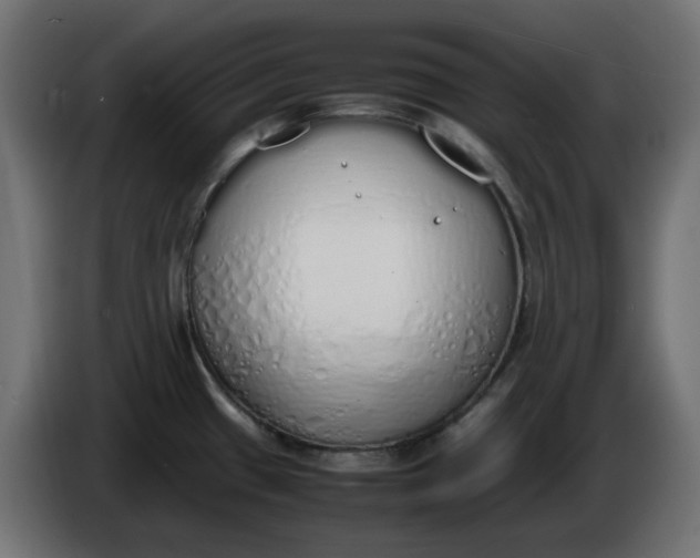 X0000086341433200704131733