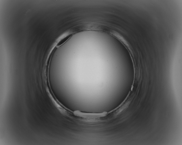 X0000086341434200704131733