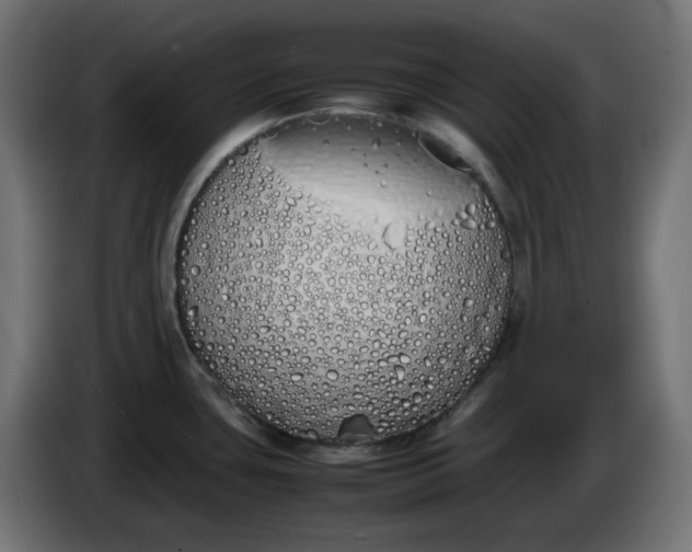 X0000086341435200704131733