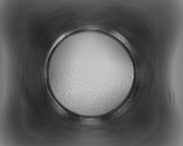 X0000086341436200704131734