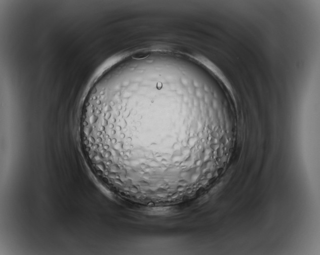 X0000086341437200704131734
