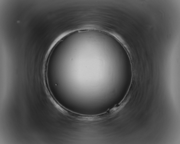 X0000086341438200704131734