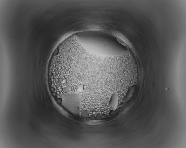 X0000086341439200704131734