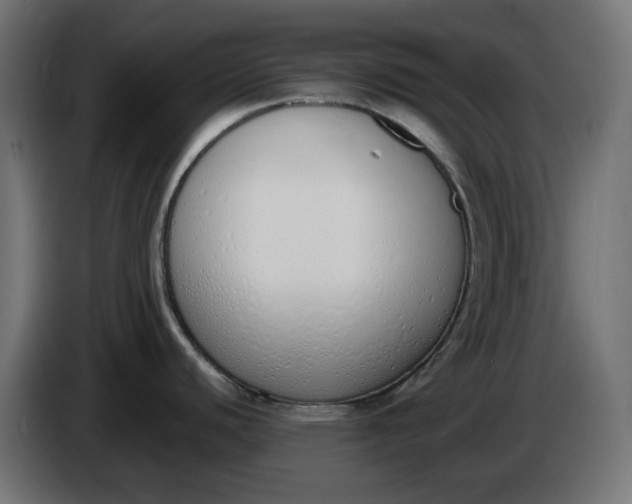 X0000086341440200704131734