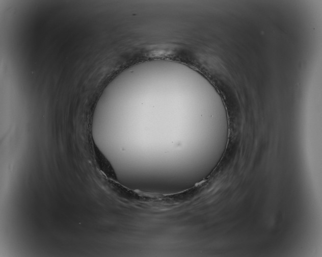 X0000086341441200704131733