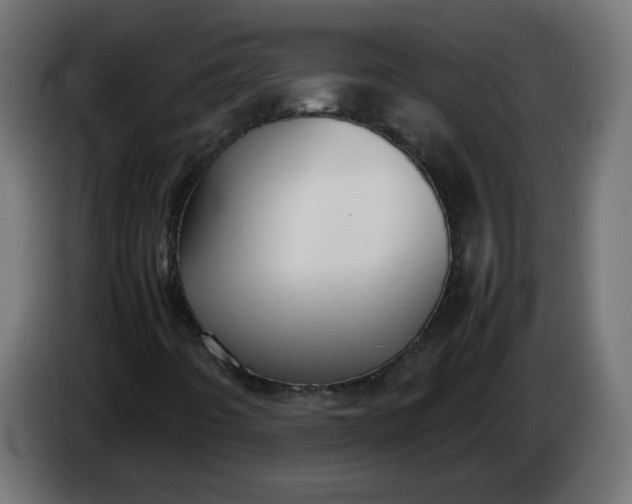 X0000086341442200704131733