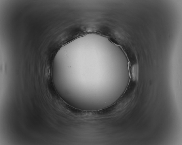 X0000086341443200704131733