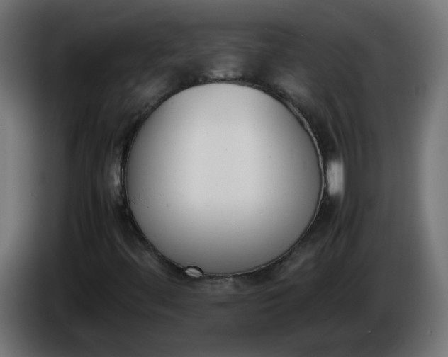 X0000086341444200704131733