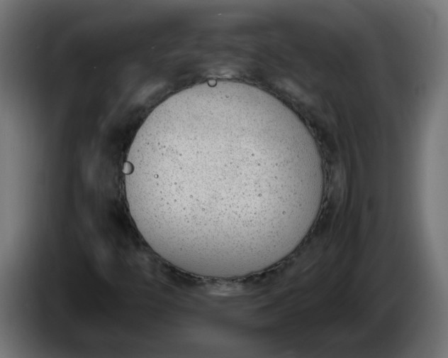 X0000086341446200704131733