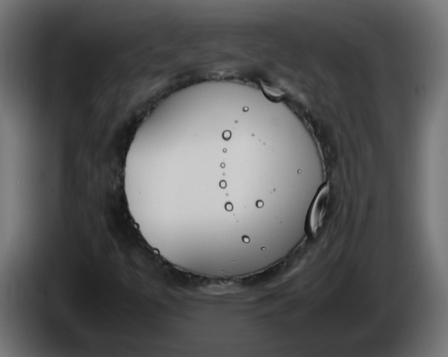 X0000086341447200704131733