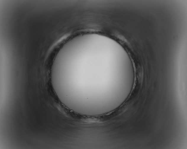 X0000086341448200704131733