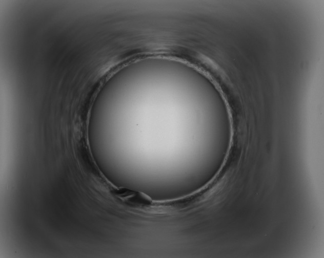 X0000086341449200704131733