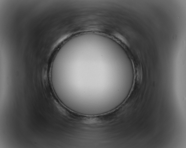 X0000086341452200704131733