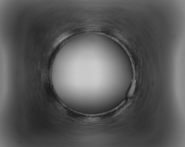 X0000086341453200704131733