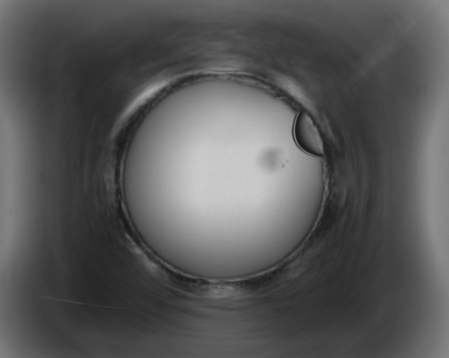 X0000086341456200704131733