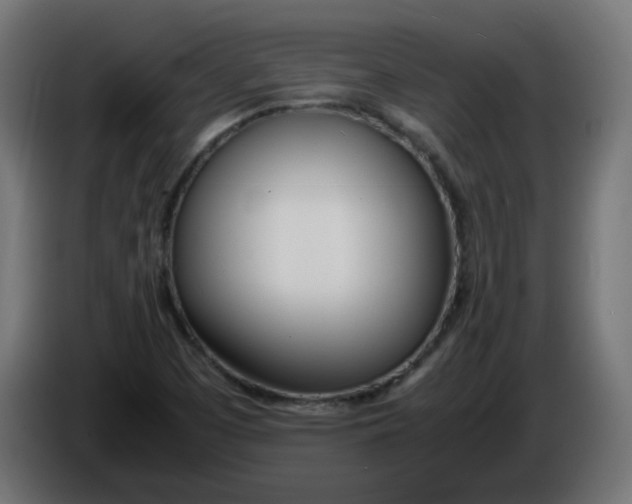 X0000086341457200704131733