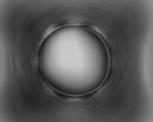 X0000086341459200704131733