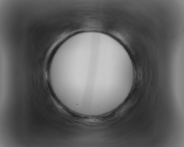 X0000086341462200704131733
