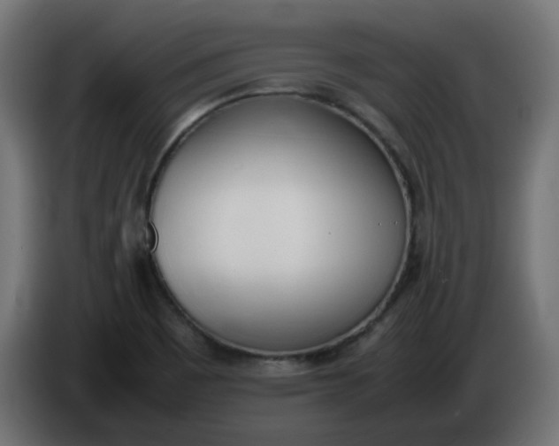 X0000086341465200704131733