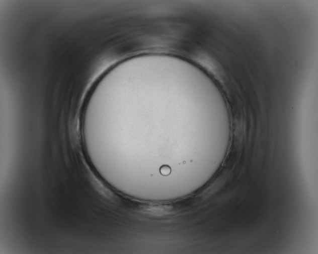 X0000086341466200704131733