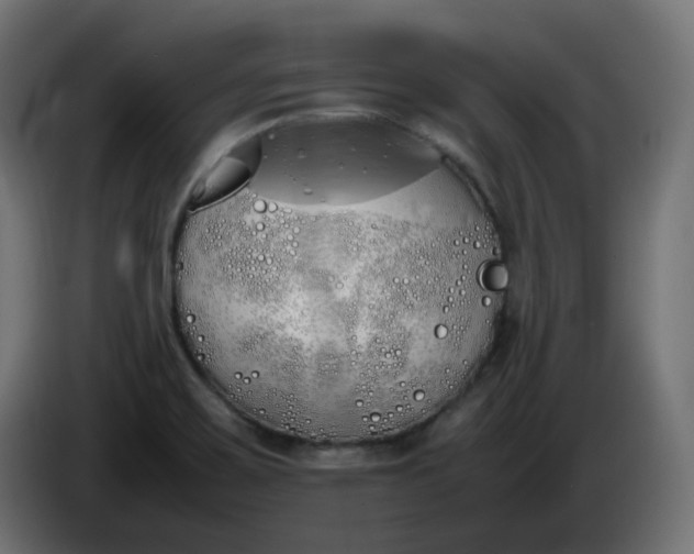 X0000086341467200704131733