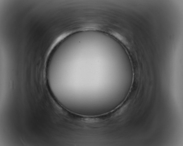 X0000086341469200704131732