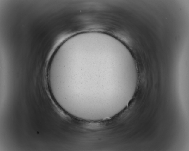 X0000086341470200704131732