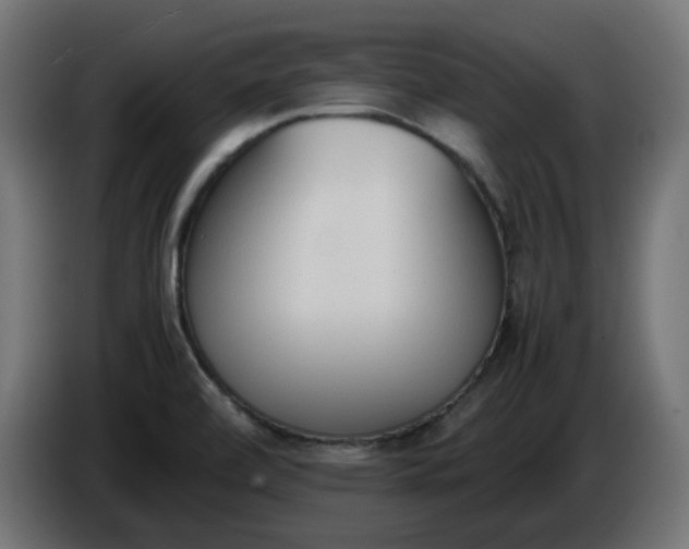 X0000086341472200704131732