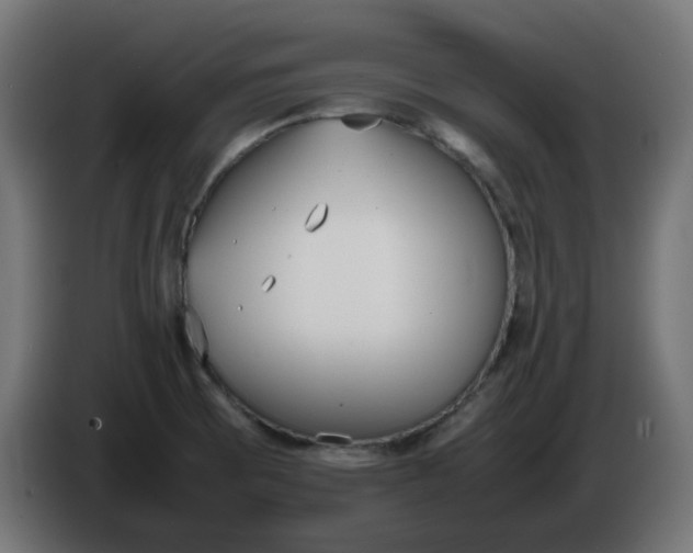 X0000086341473200704131732