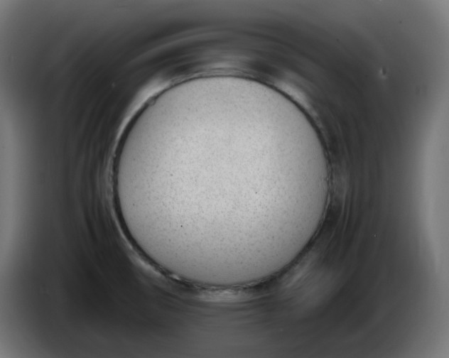 X0000086341474200704131732