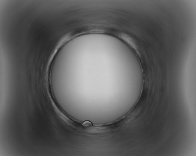 X0000086341475200704131732