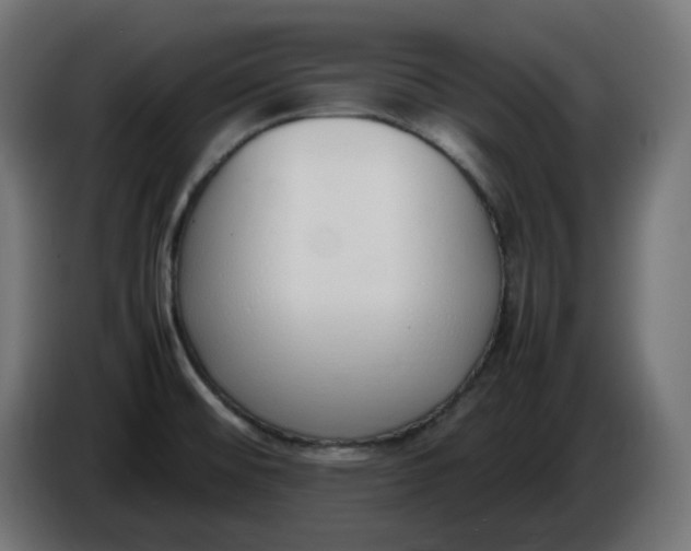 X0000086341476200704131732