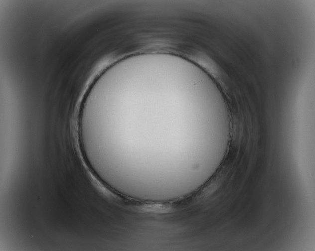 X0000086341478200704131732