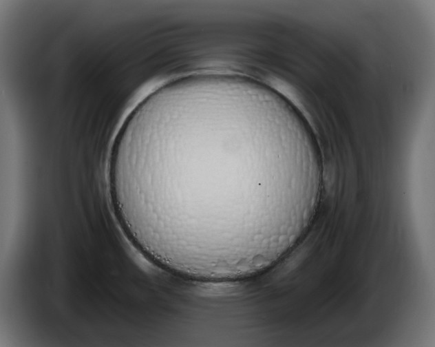 X0000086341482200704131732