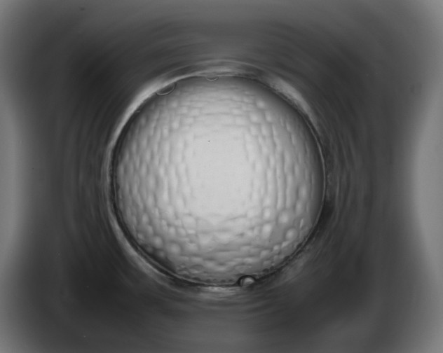 X0000086341483200704131732