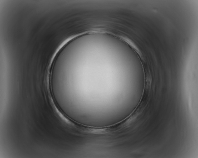 X0000086341484200704131732