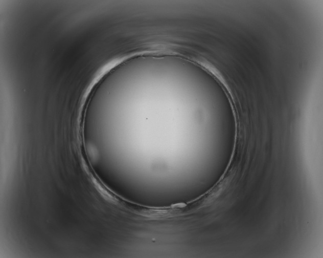 X0000086341485200704131732