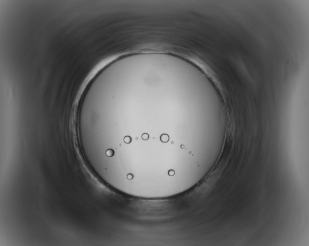 X0000086341486200704131732