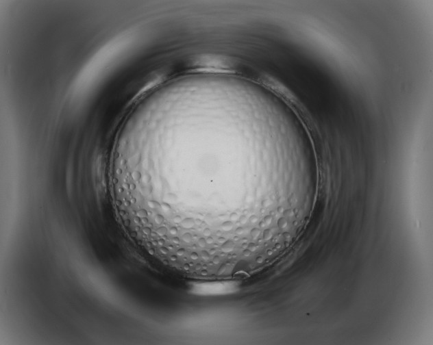 X0000086341487200704131732