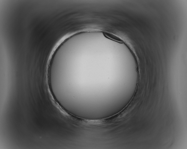 X0000086341488200704131732