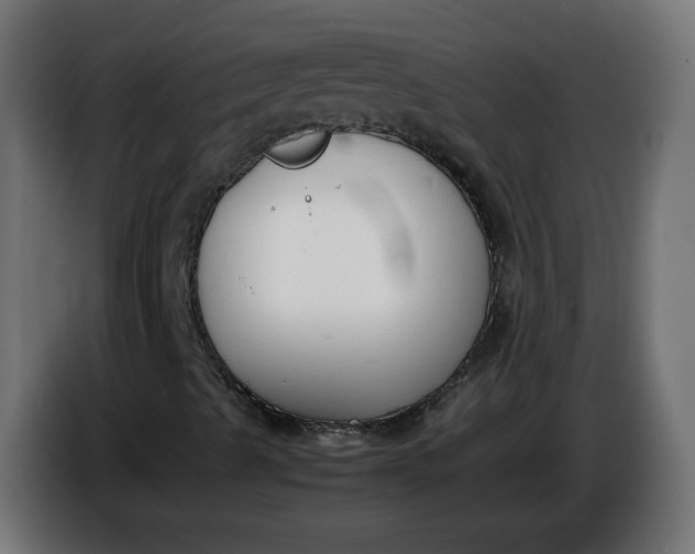 X0000086341489200704131732