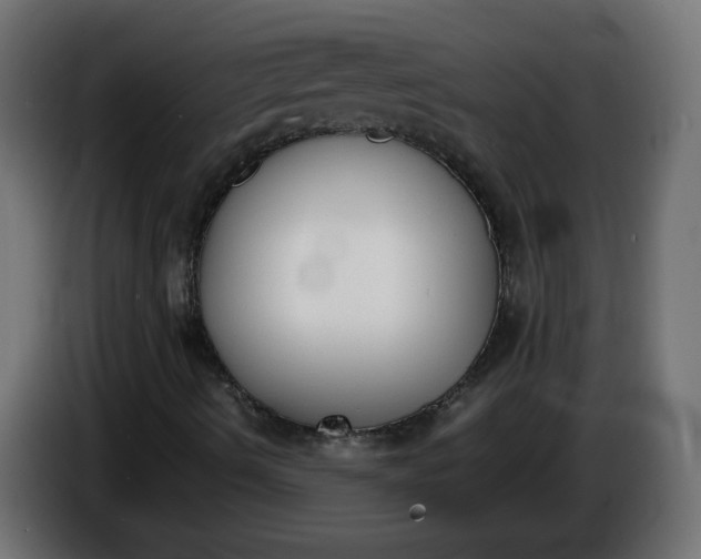 X0000086341490200704131732